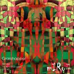Digital Art :: Grasshopper